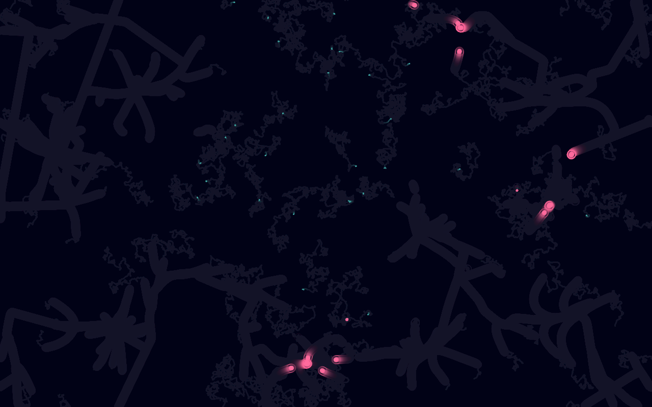 anthropic/claude-haiku-4.5 Run 1, 60s frame