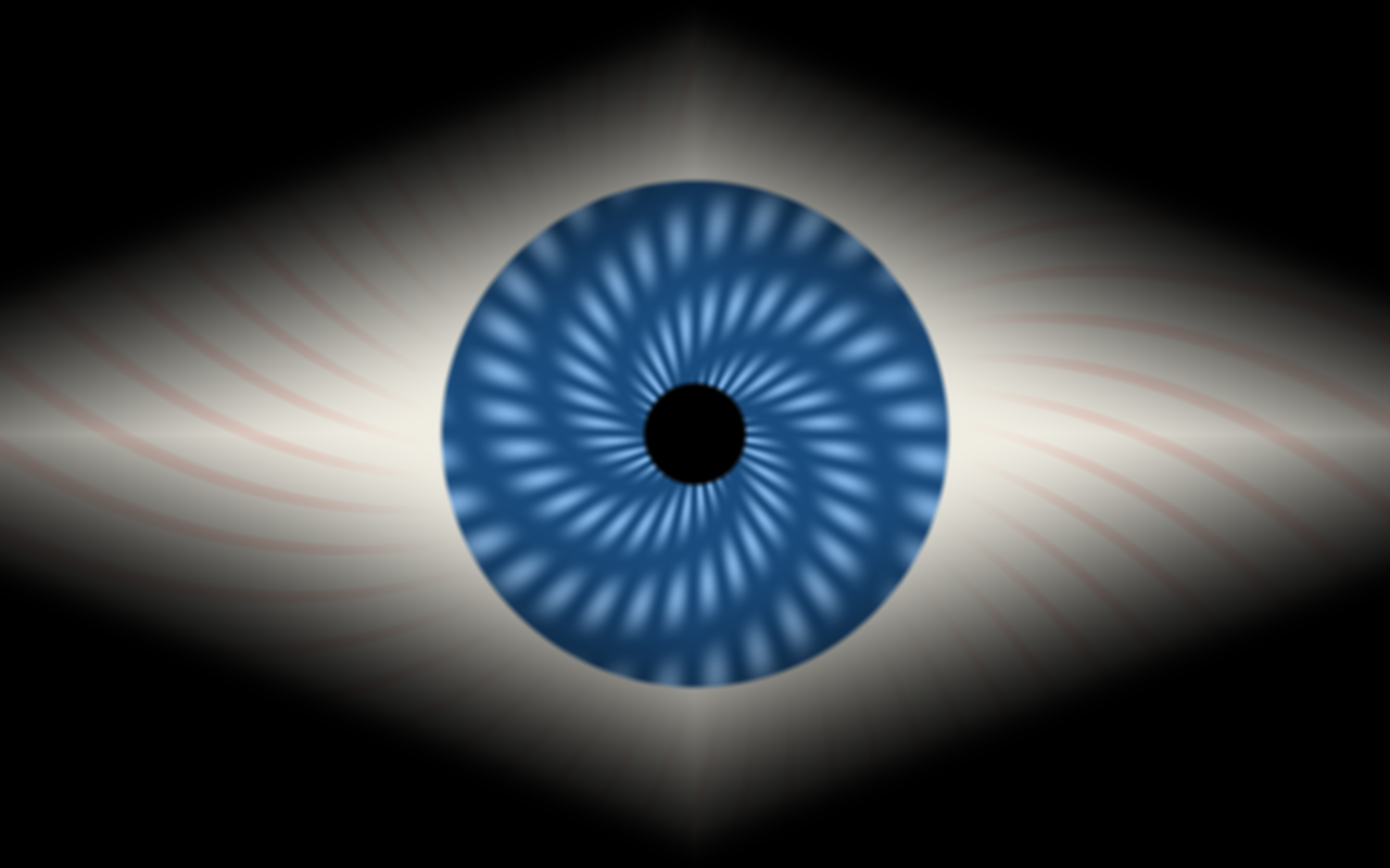google/gemini-3-flash-preview Run 2, 60s frame